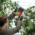 BLACK+DECKER akumulatorska kompaktna vbodna žaga 8B2Z159 dom in življenjski slog