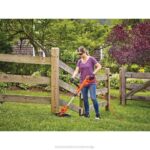 BLACK+DECKER trimer z vrvico s samodejnim podajanjem električni 6,5-amp 14-palčni 8B2Z493 na prostem